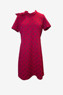 Tie Neck Red Polka Dot Mini Dress