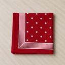 Vintage Red Polka Dot Scarf