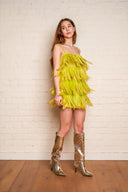 Gianluca Gabrielli Feather Mini Dress image 1