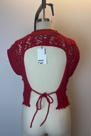 Zara Red Crochet Backless Top image 1