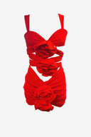 Magda Butrym Red Rose Mini Dress image 0